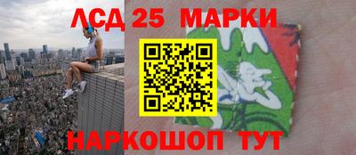 СК Обь
