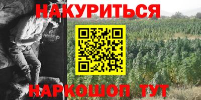 СК Обь