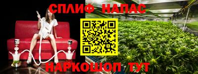 СК Обь