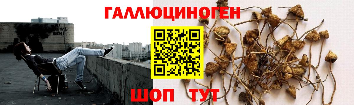 магазин продажи   Вход с VPN  Стрежевой  Галлюциногенные грибы Magic Shrooms 